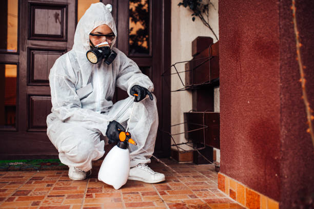 Reliable Bed Bug Control contractor in Miami Springs, FL by Nex Pest Control