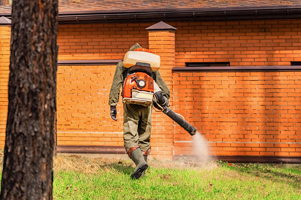 Trusted Fumigation Services service in Miami Springs, FL - Nex Pest Control